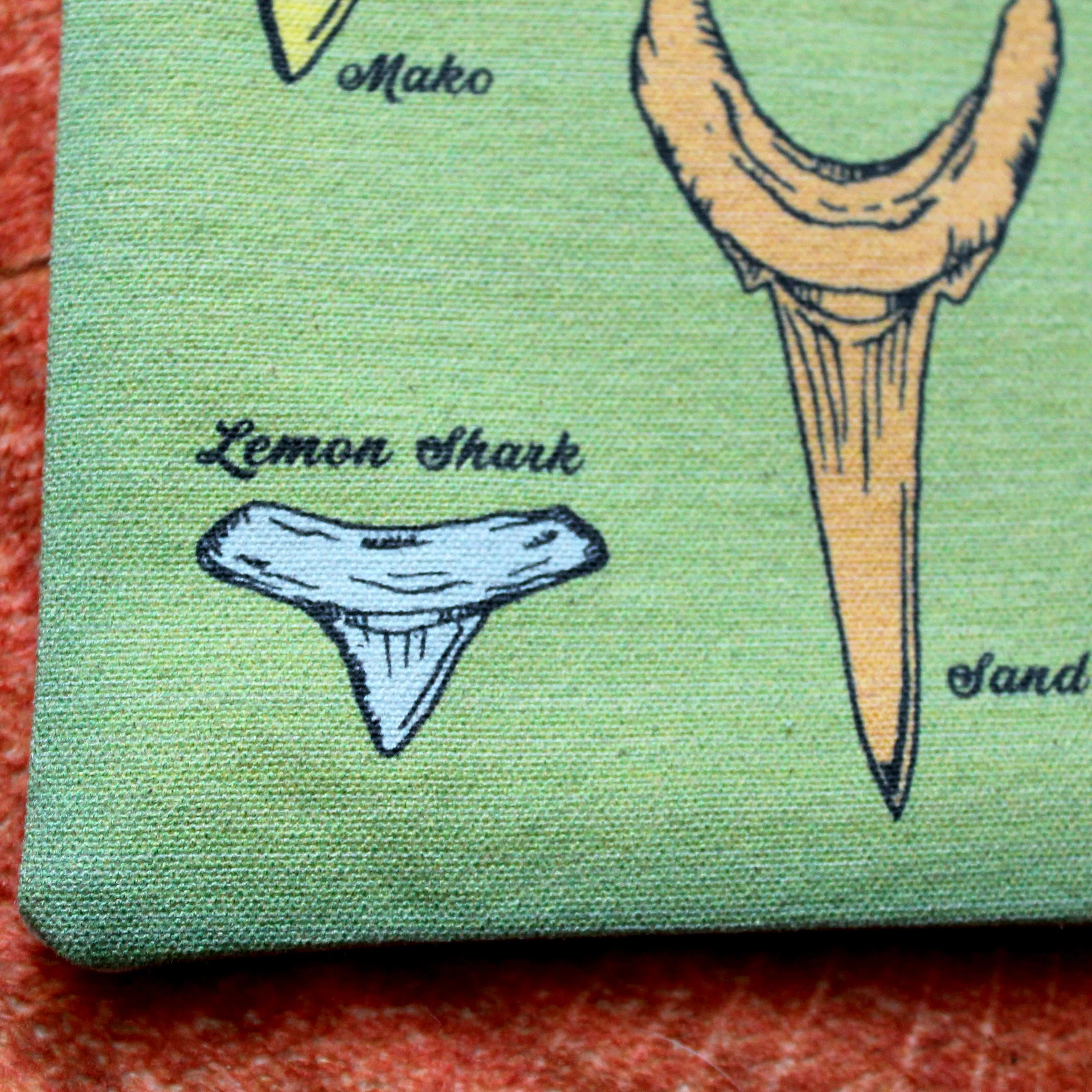 Fossil Shark Tooth Identification clutch bag