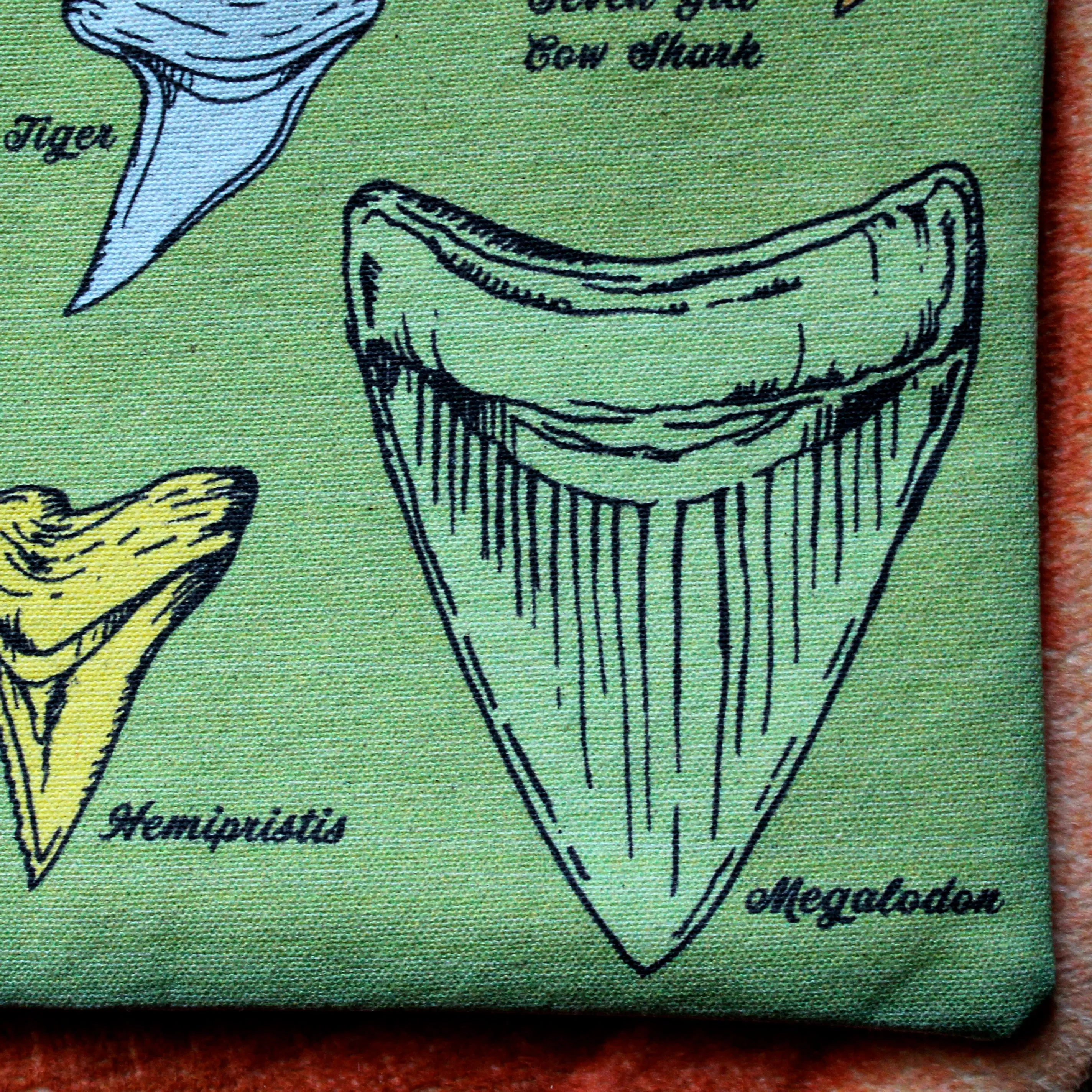 Fossil Shark Tooth Identification clutch bag